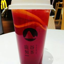 鹿谷制茶三生凉橙 口味测评与太原用户真实评价